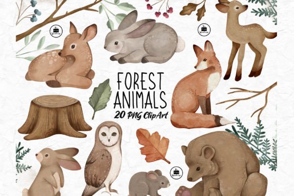 Download Forest Animals - PNG Clipart Set - Clipart Collection