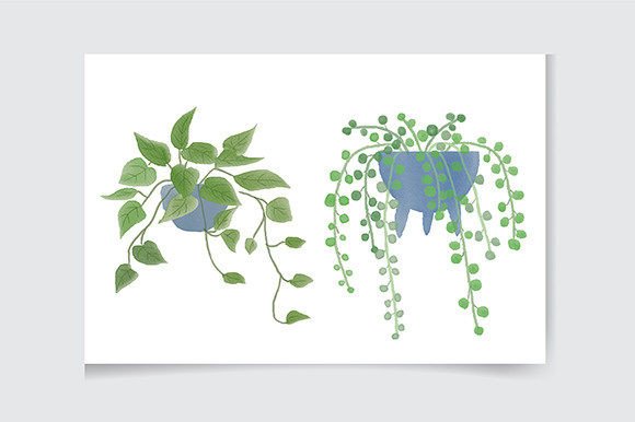 Download House Plant Clipart, Indoor Plants - Clipart Collection