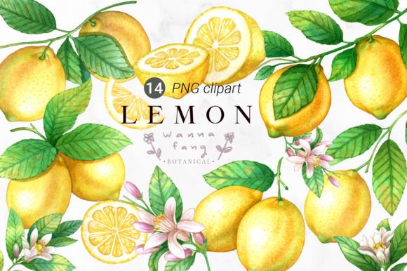Download Lemon Fruit Watercolor Clipart, PNG - Clipart Collection