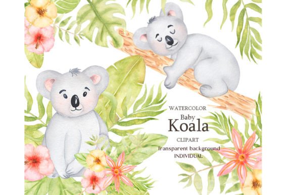 Download Watercolor Baby Koala Clipart Set - Clipart Collection