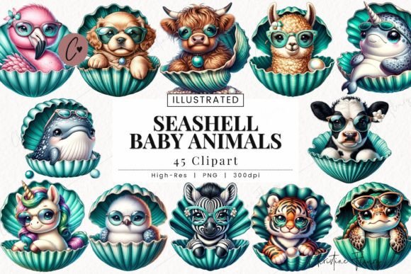 Download Seashell Baby Animals Clipart, Beach PNG - Clipart Collection